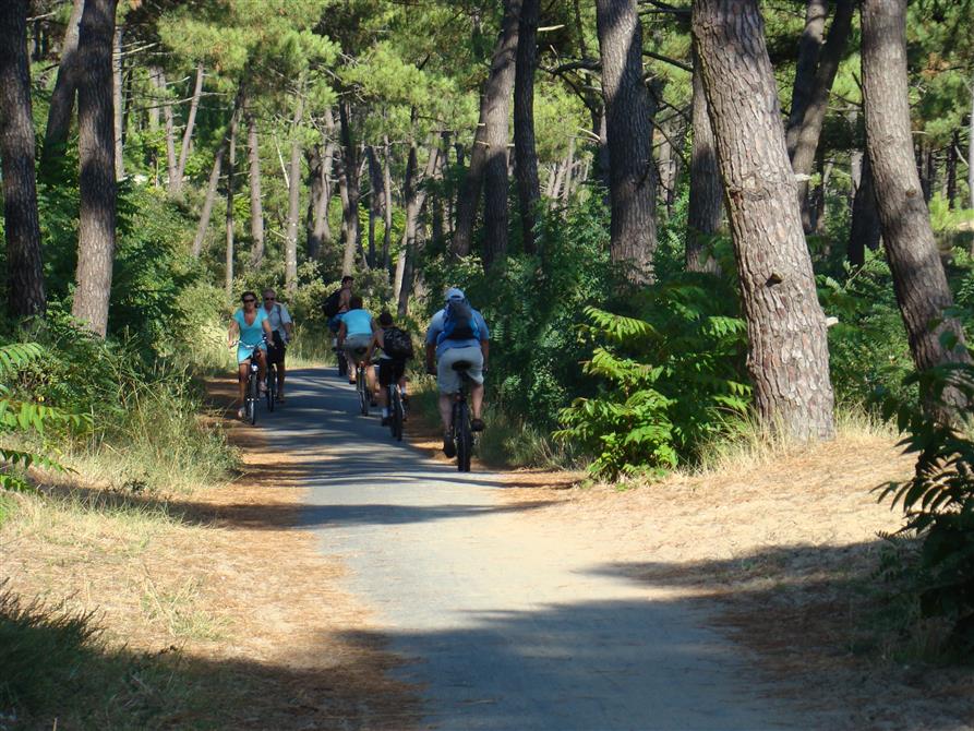 Camping Beausoleil La Palmyre